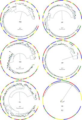 Characterizing the Core Internal Gene Pool of H9N2 Responsible for Continuous Reassortment With Other Influenza A Viruses